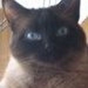 Meet your Posher, Tula ann